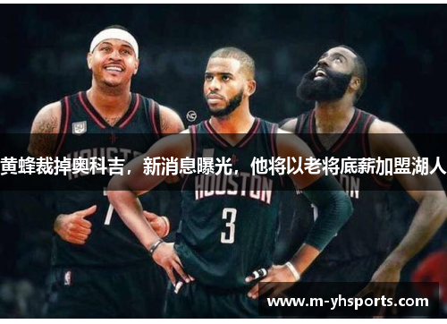 黄蜂裁掉奥科吉，新消息曝光，他将以老将底薪加盟湖人